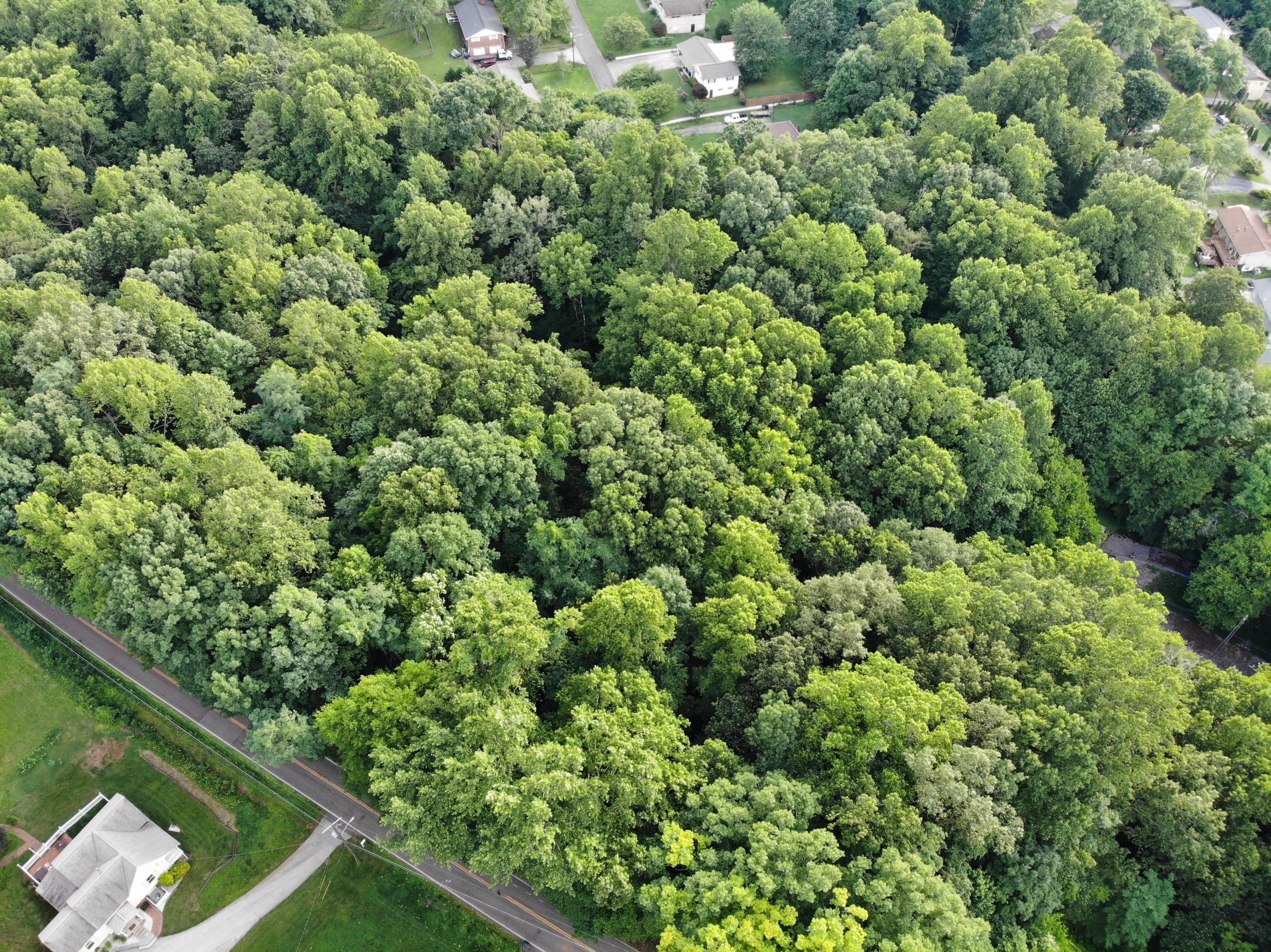 Cruze Road Knoxville, TN 37920 - Photo 7 of 13 DJI_0257