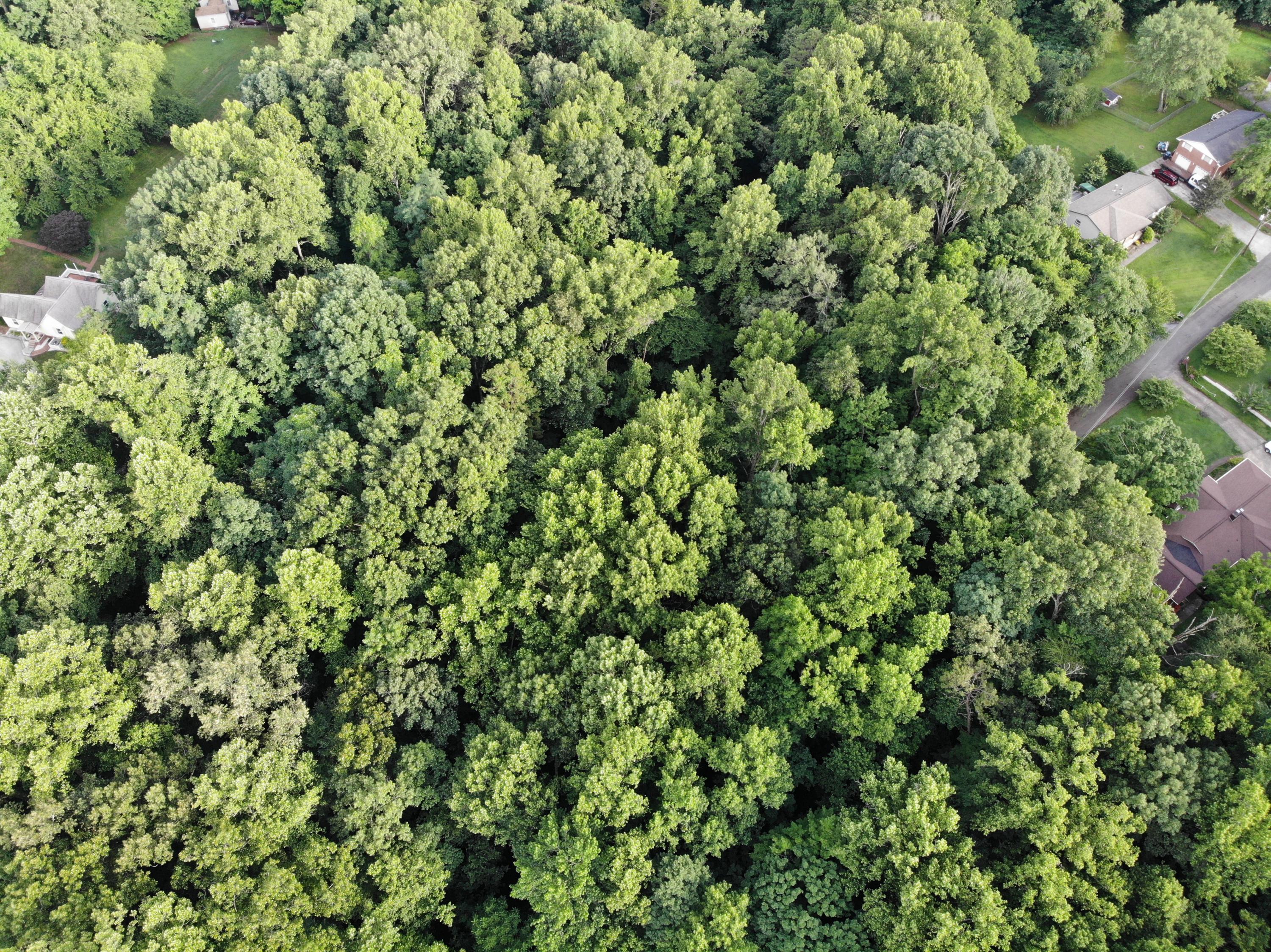 Cruze Road Knoxville, TN 37920 - Photo 9 of 13 DJI_0254