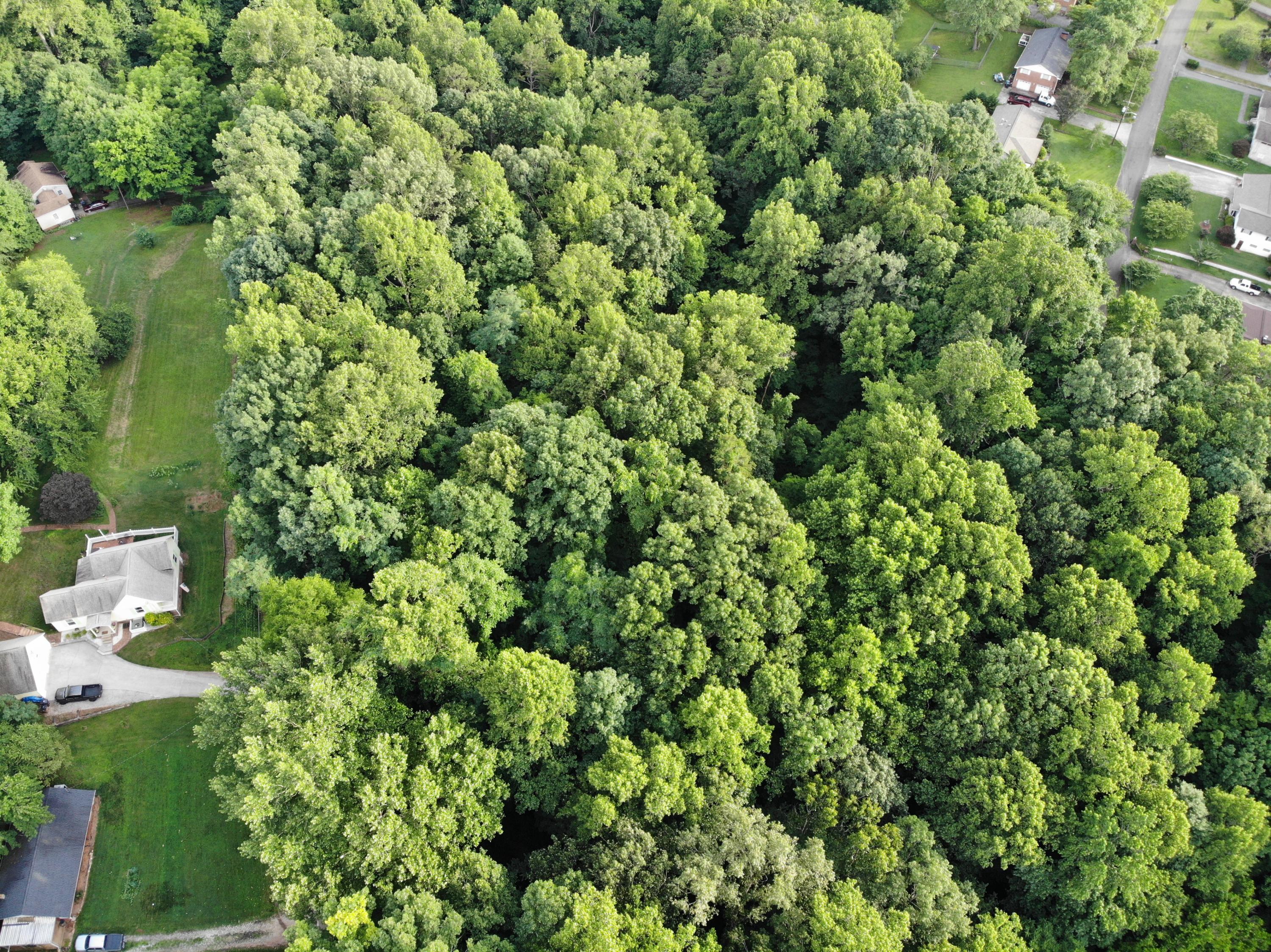 Cruze Road Knoxville, TN 37920 - Photo 10 of 13 DJI_0256
