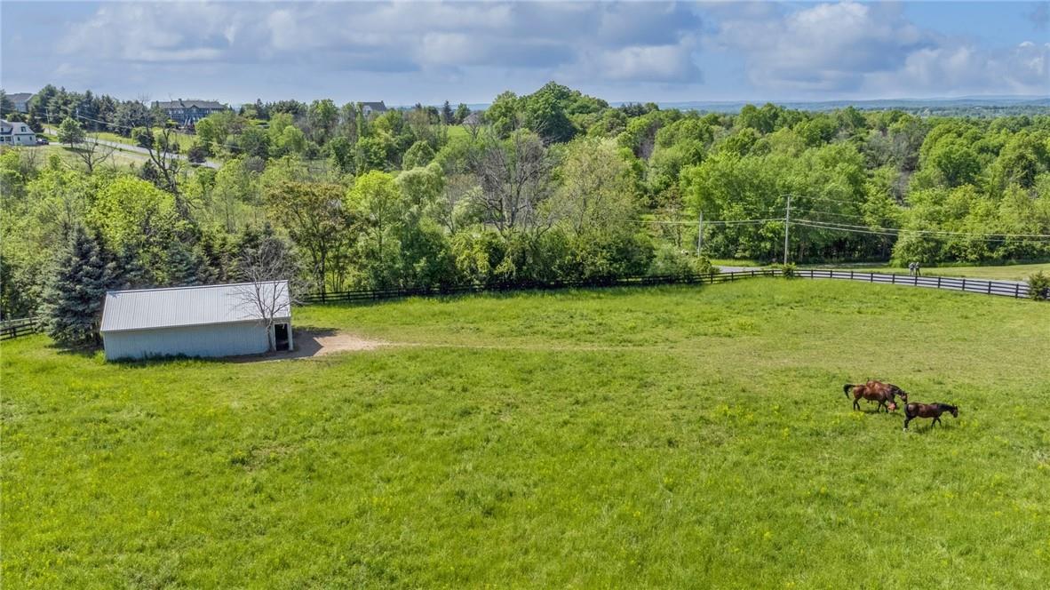 172 Hasbrouck Road Goshen, NY 10924 - Photo 1 of 1 a view of a green yard