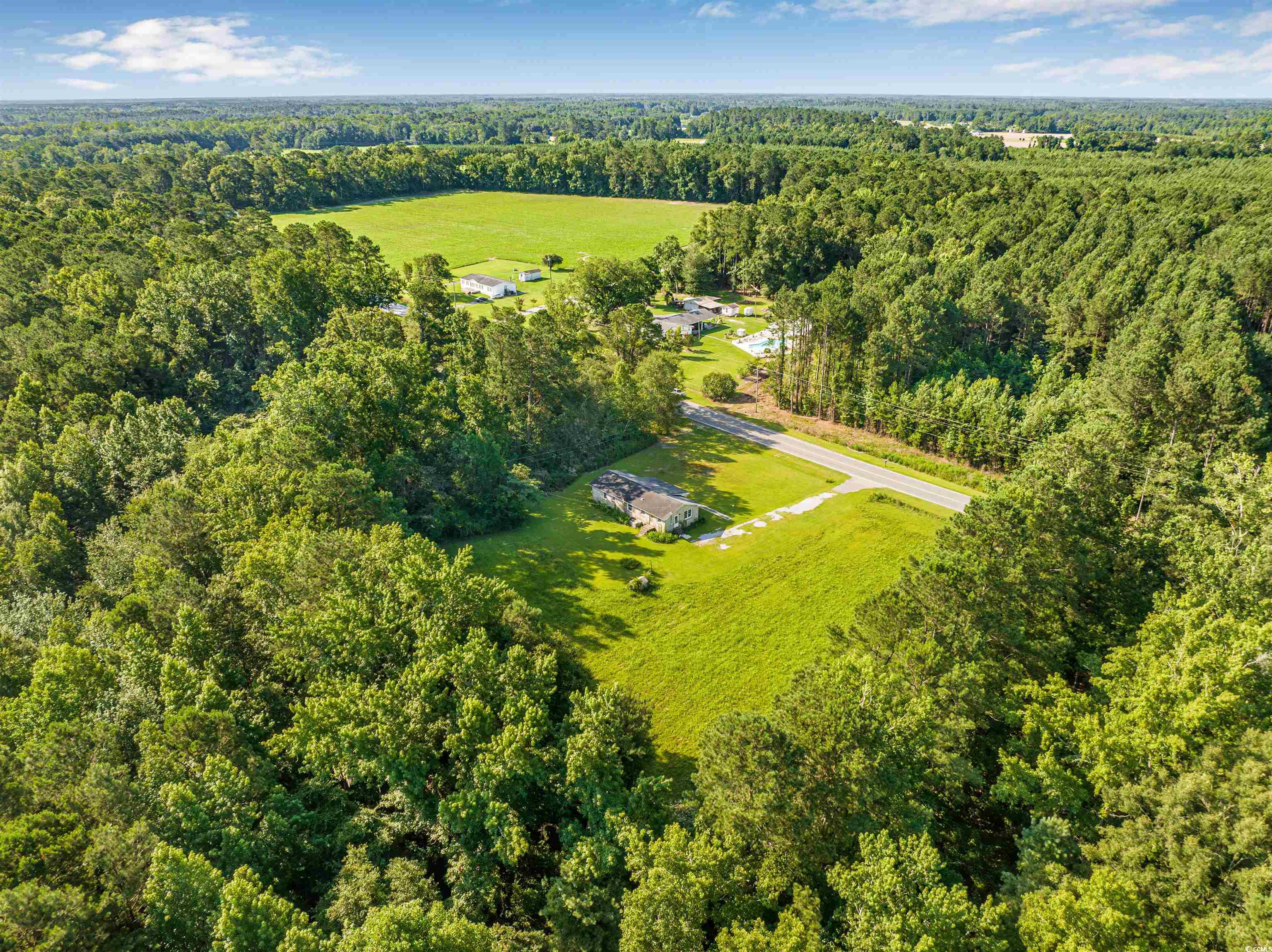 444 Davis Road Hemingway, SC 29554 - Photo 27 of 34