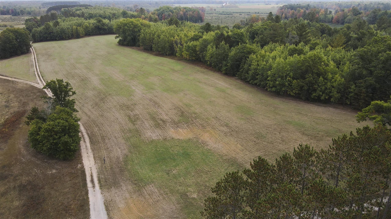11048 Wilson Road Lake City, MI 49651 - Photo 11 of 89 Gallery Image 11
