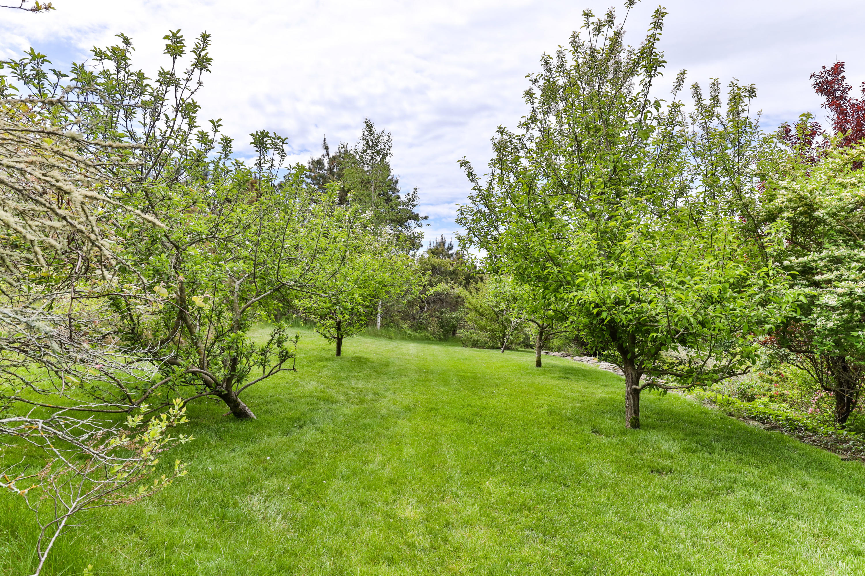 91 Castle Road Truro, MA 02666 - Photo 69 of 78 a big yard with lots of green space and fountain
