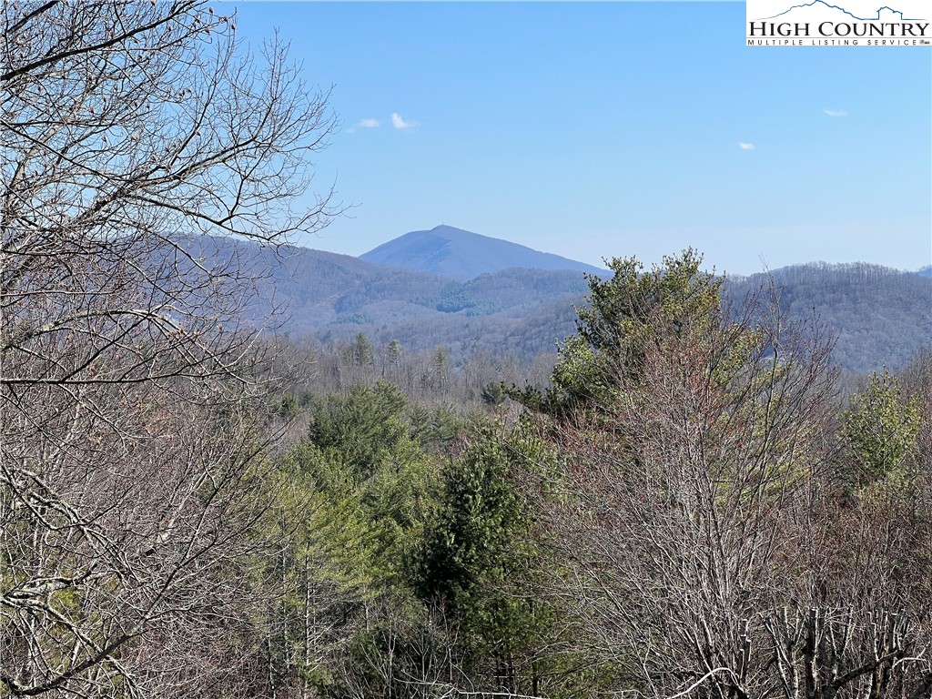 1100 Wagon Road Warrensville, NC 28693 - Photo 11 of 44 Gallery Image 11