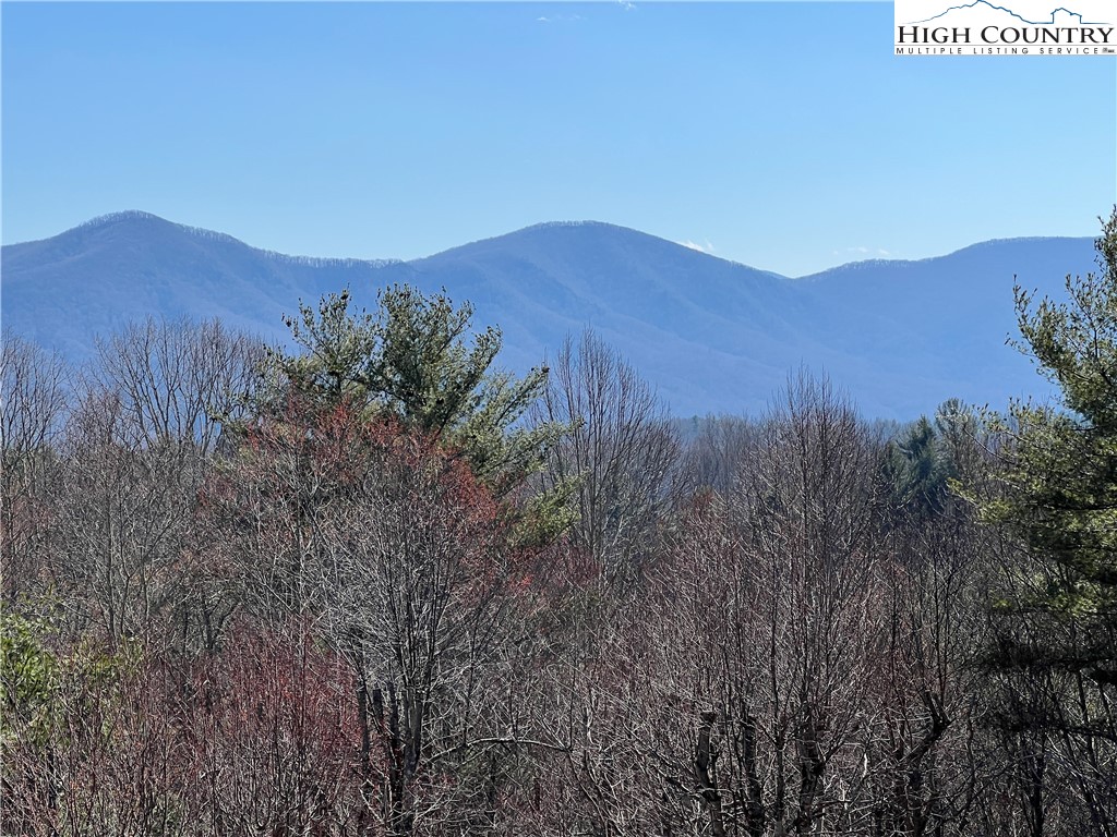 1100 Wagon Road Warrensville, NC 28693 - Photo 12 of 44 Gallery Image 12