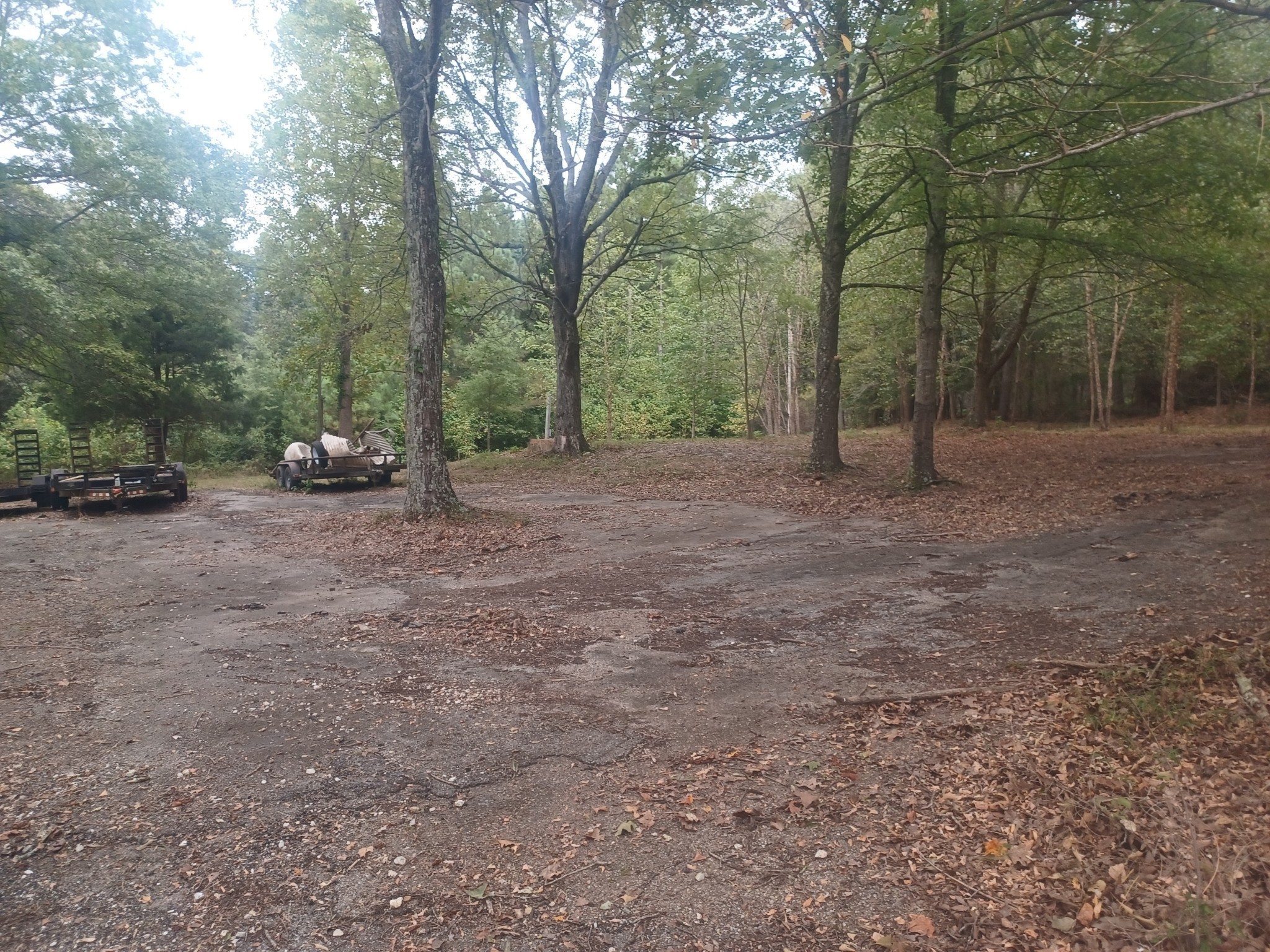 567 Rawls Road Paris, TN 38242 - Photo 3 of 11 a view of a field with trees in it