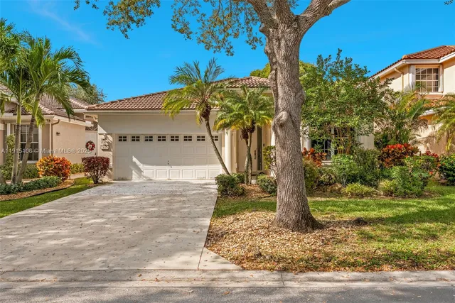 a view of a yard with plants