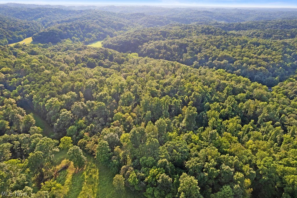 102 Logston Run Road Ravenswood, WV 26164 - Photo 37 of 42 Expansive wooded acreage featuring rolling terrain and scattered clearings