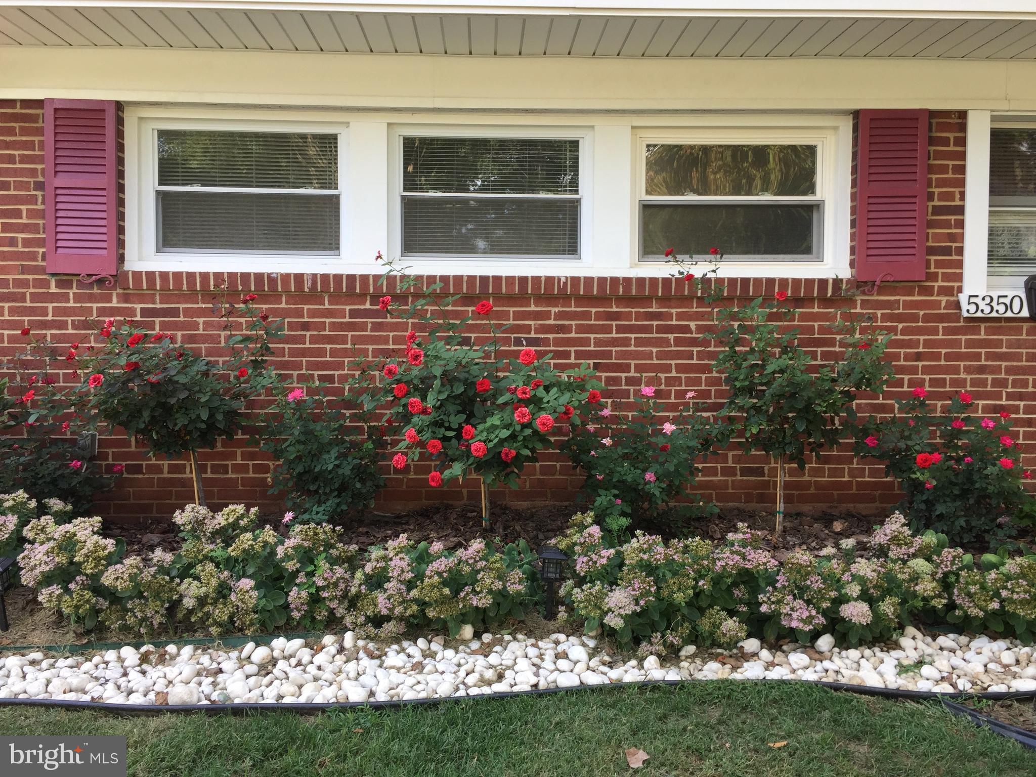 5350 Ravensworth Road Springfield, VA 22151 - Photo 5 of 26 Gallery Image 5