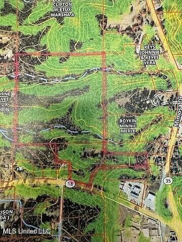 210 Mississippi Highway Raleigh, MS 39153 - Photo 1 of 1 Map of the land