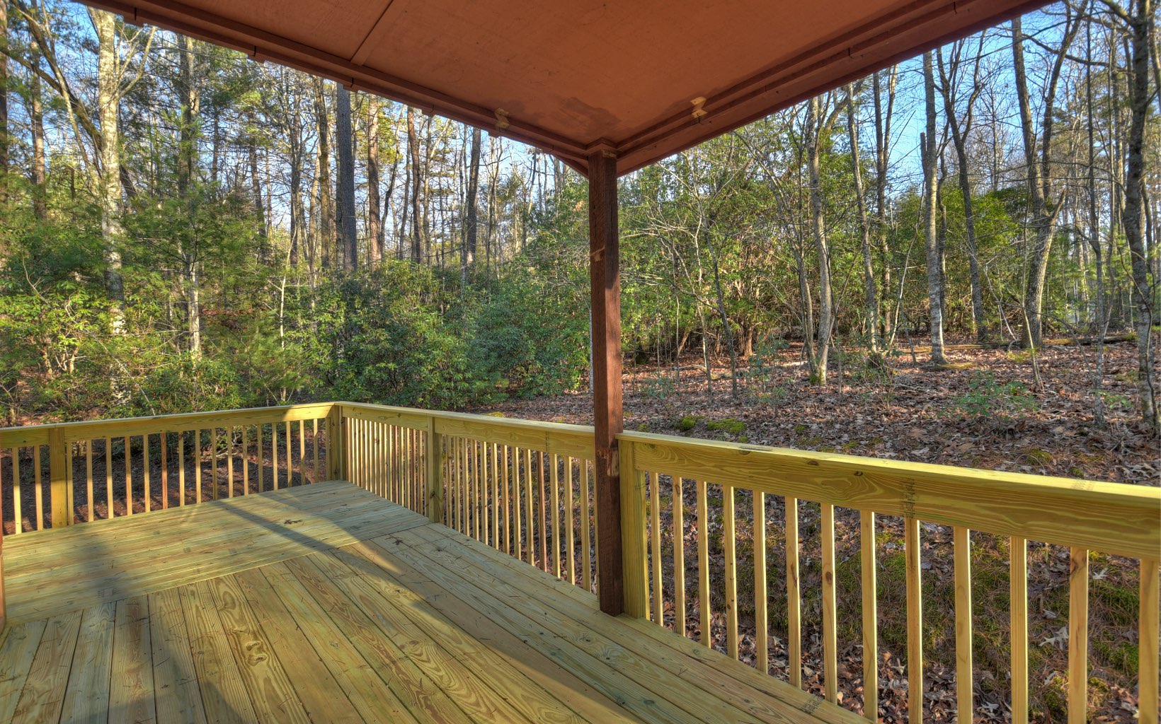 360 Wild Ridge Road Blairsville, GA 30512 - Photo 42 of 44 Additional View