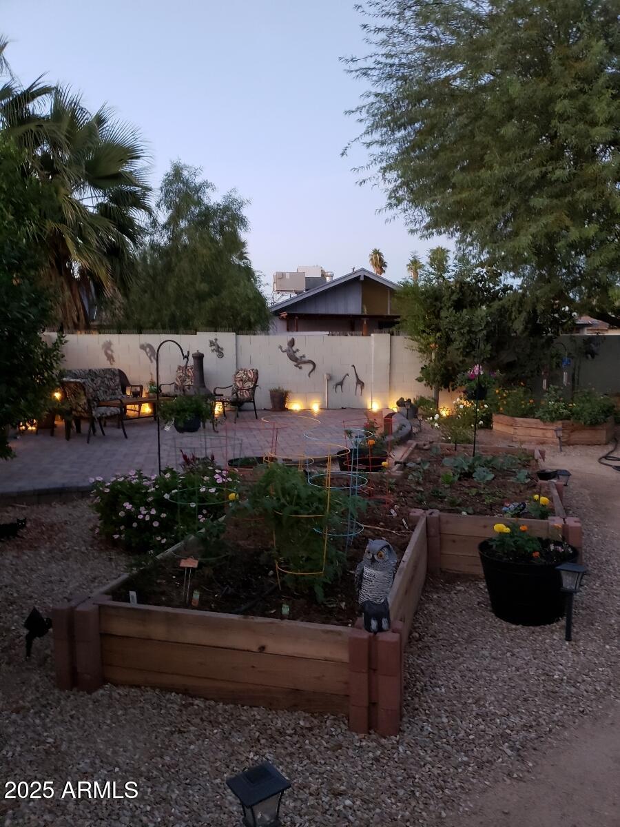 3036 West Gail Road Phoenix, AZ 85029 - Photo 31 of 47 Raised Gardens