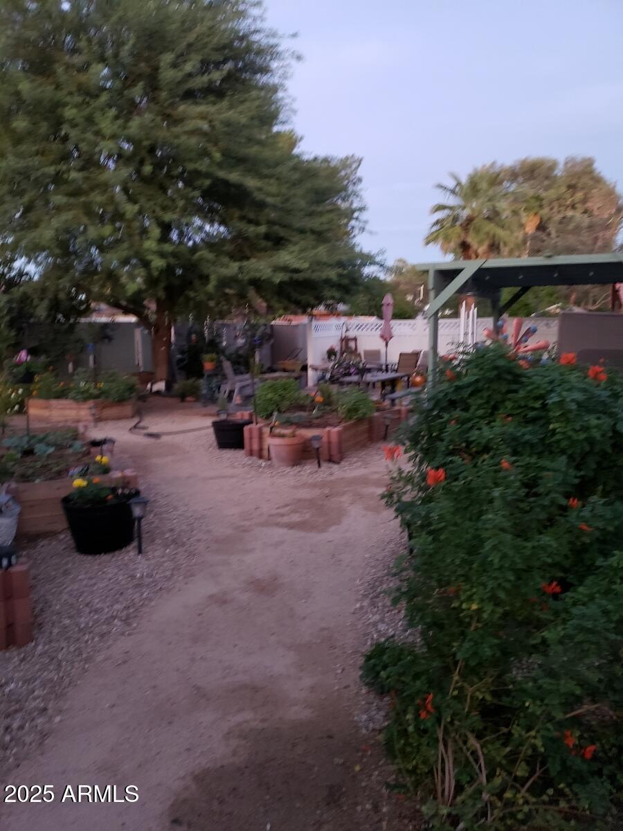 3036 West Gail Road Phoenix, AZ 85029 - Photo 32 of 47 Backyard