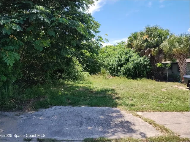 a view of a yard with plants and large trees