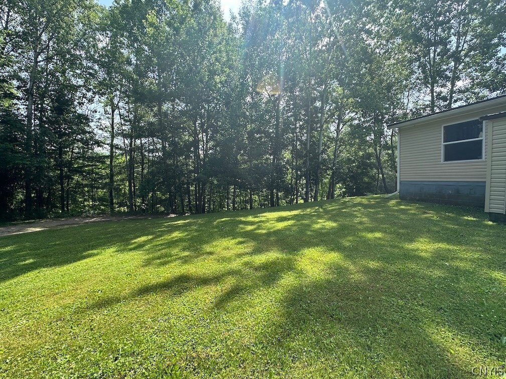 4339 Back River Road Amity, NY 14880 - Photo 32 of 34