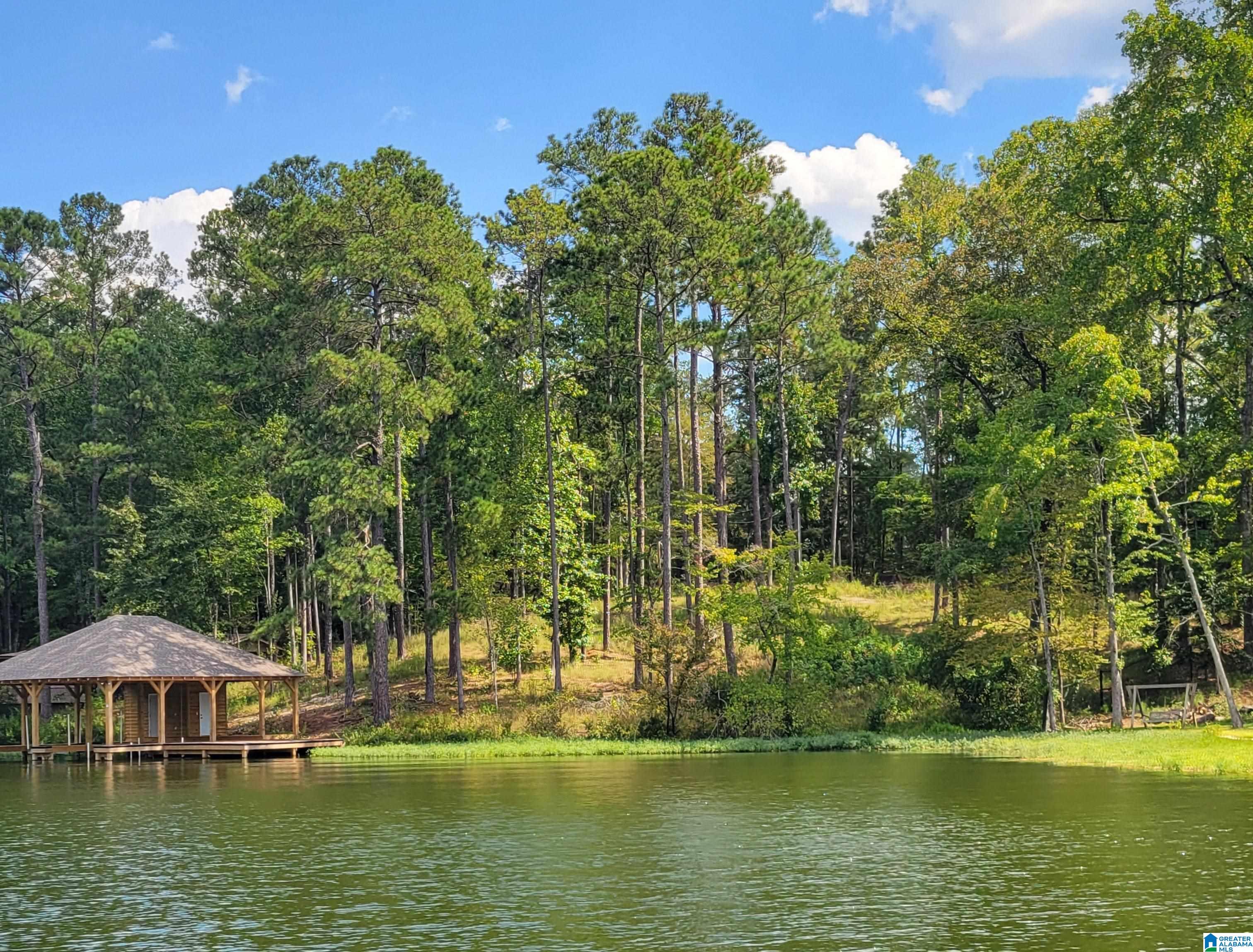 1830 Mimosa Point Road, Unit 1 Rockford, AL 35136 - Photo 2 of 24
