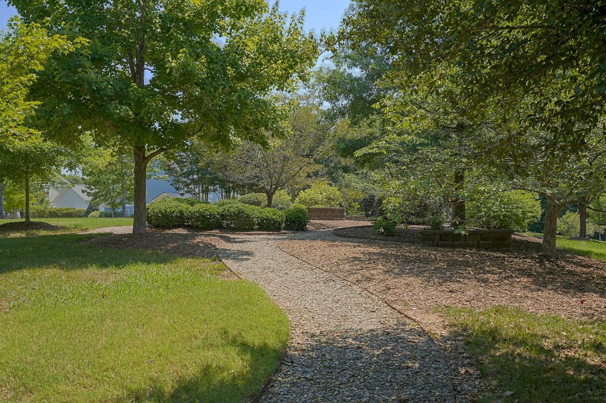 20017 Roark Hoey Loop Chapel Hill, NC 27517 - Photo 44 of 44 a view of a yard with plants and trees