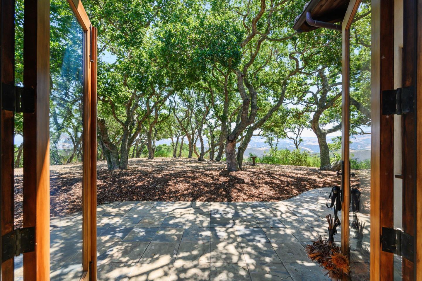 960 Laureles Grade Carmel Valley, CA 93924 - Photo 13 of 76 a view of a tree in the middle of a yard