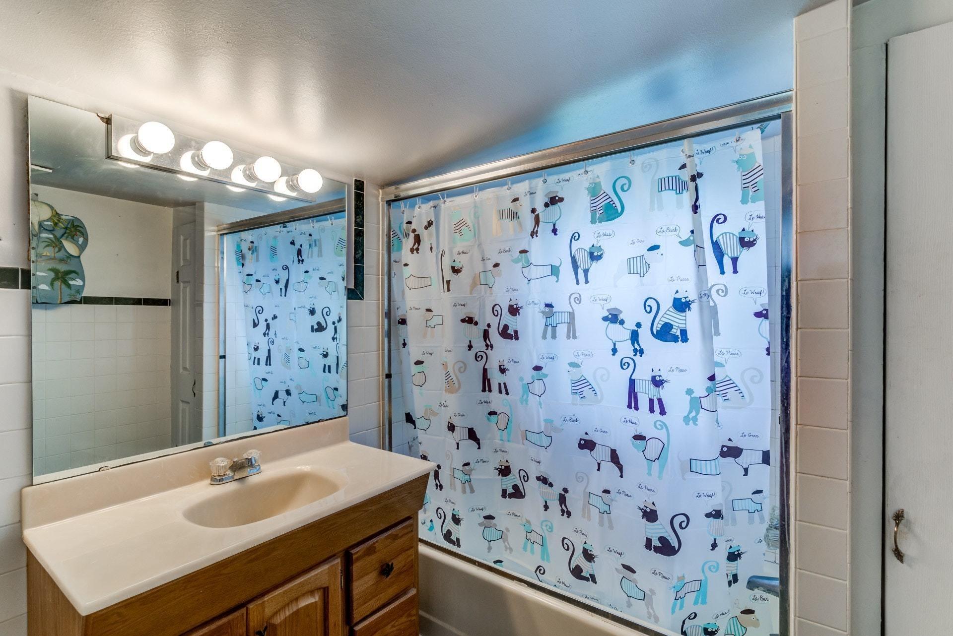 4541 Cowman Road Roanoke, VA 24014 - Photo 15 of 23 a bathroom with a sink and a mirror