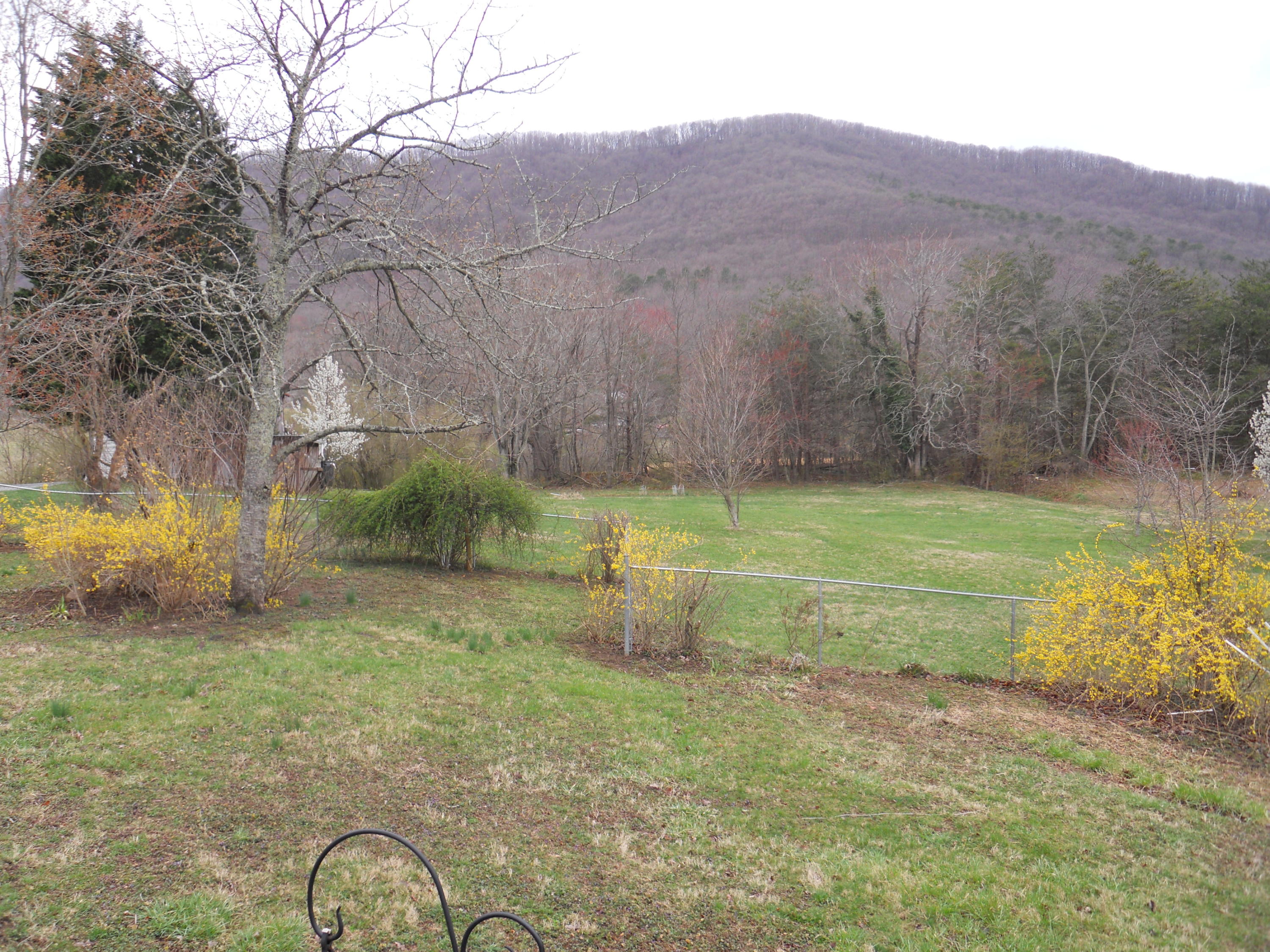 4541 Cowman Road Roanoke, VA 24014 - Photo 22 of 23 a view of a backyard with table and chairs