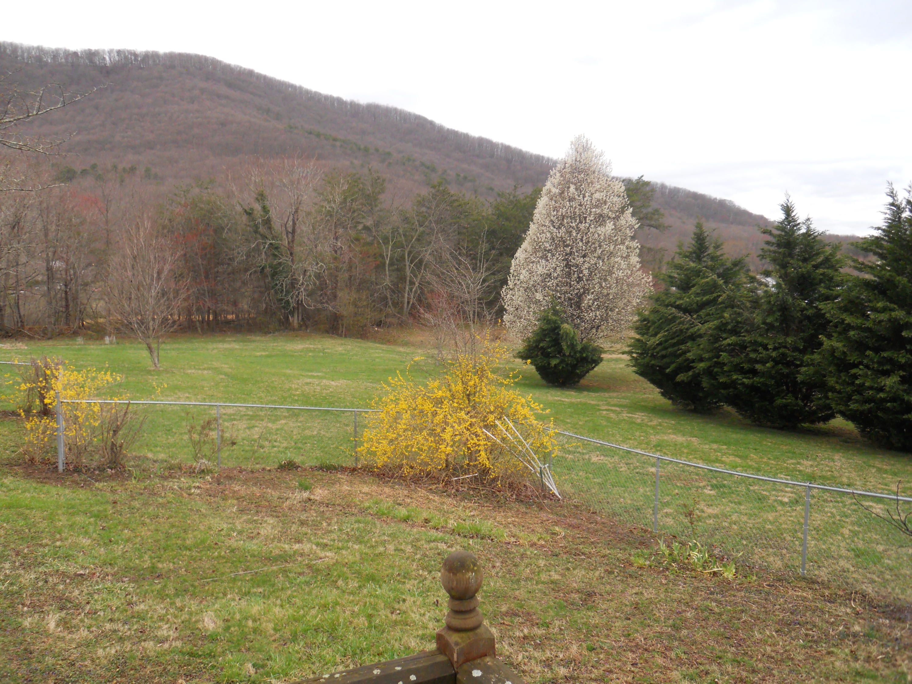 4541 Cowman Road Roanoke, VA 24014 - Photo 23 of 23 a view of a field