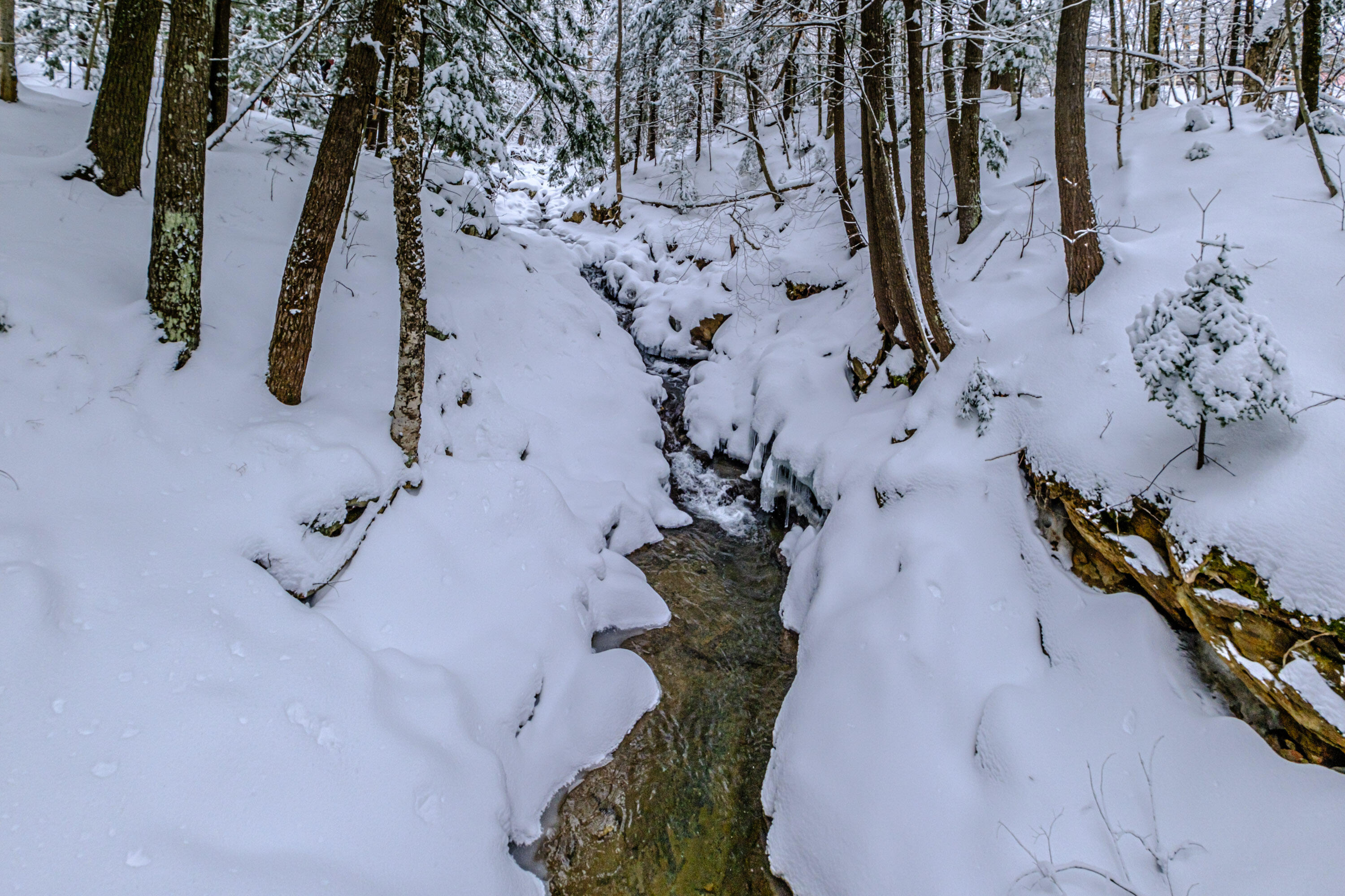45 Viking Village Road Newry, ME 04261 - Photo 54 of 65