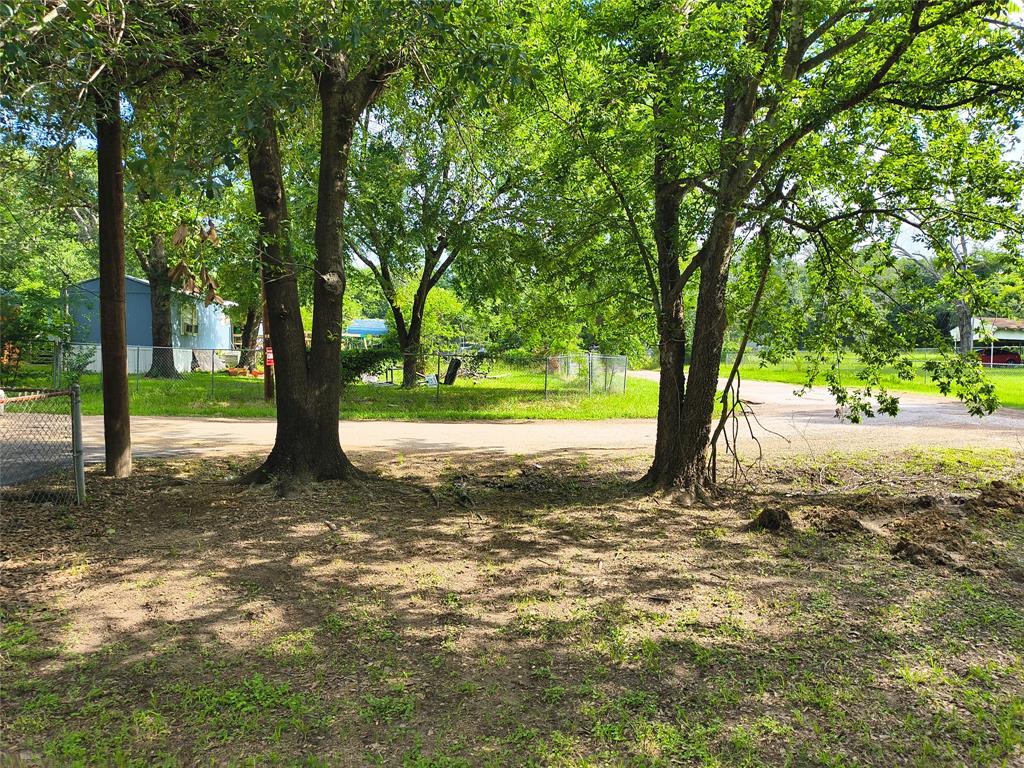 180 Arrowhead Street Mabank, TX 75156 - Photo 10 of 26 a view of a yard with a tree