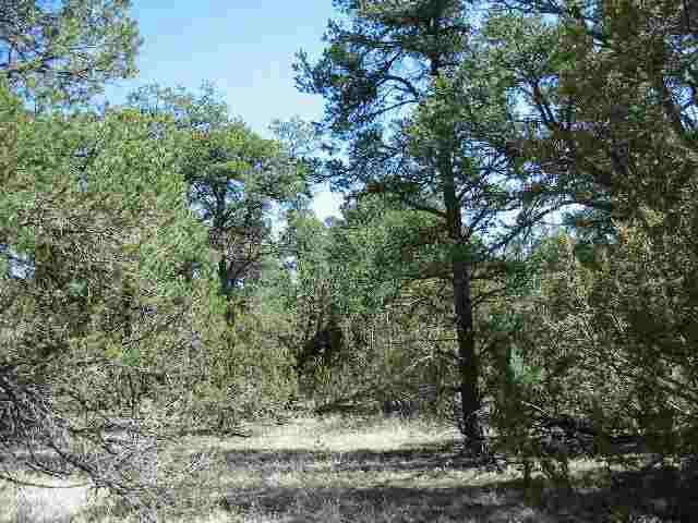 3411 Buckskin Road, Unit PAR 2 Overgaard, AZ 85933 - Photo 1 of 1 Primary Photo