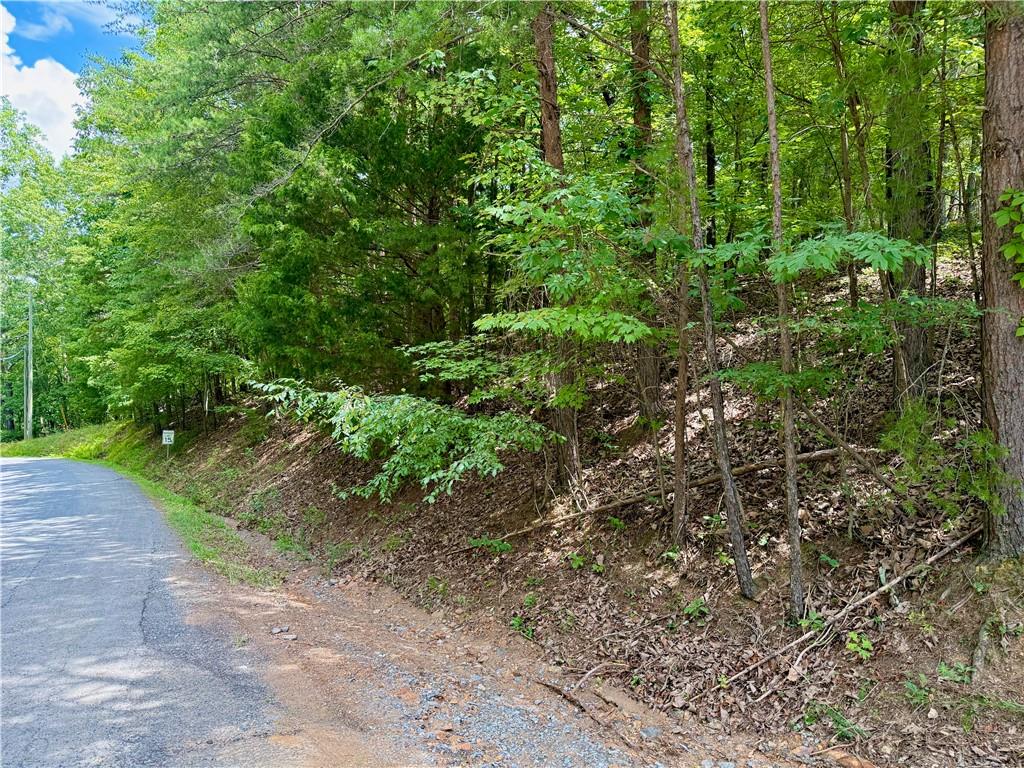 Lot 7 Stirratt Road Ranger, GA 30734 - Photo 5 of 20 Gallery Image 5