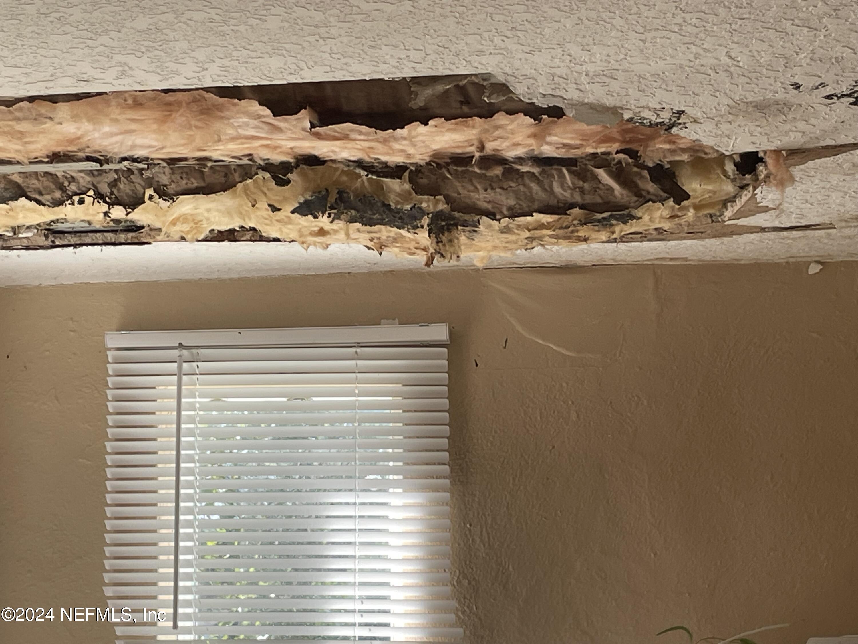 6713 Ector Road Jacksonville, FL 32211 - Photo 5 of 12 a view of sky from window