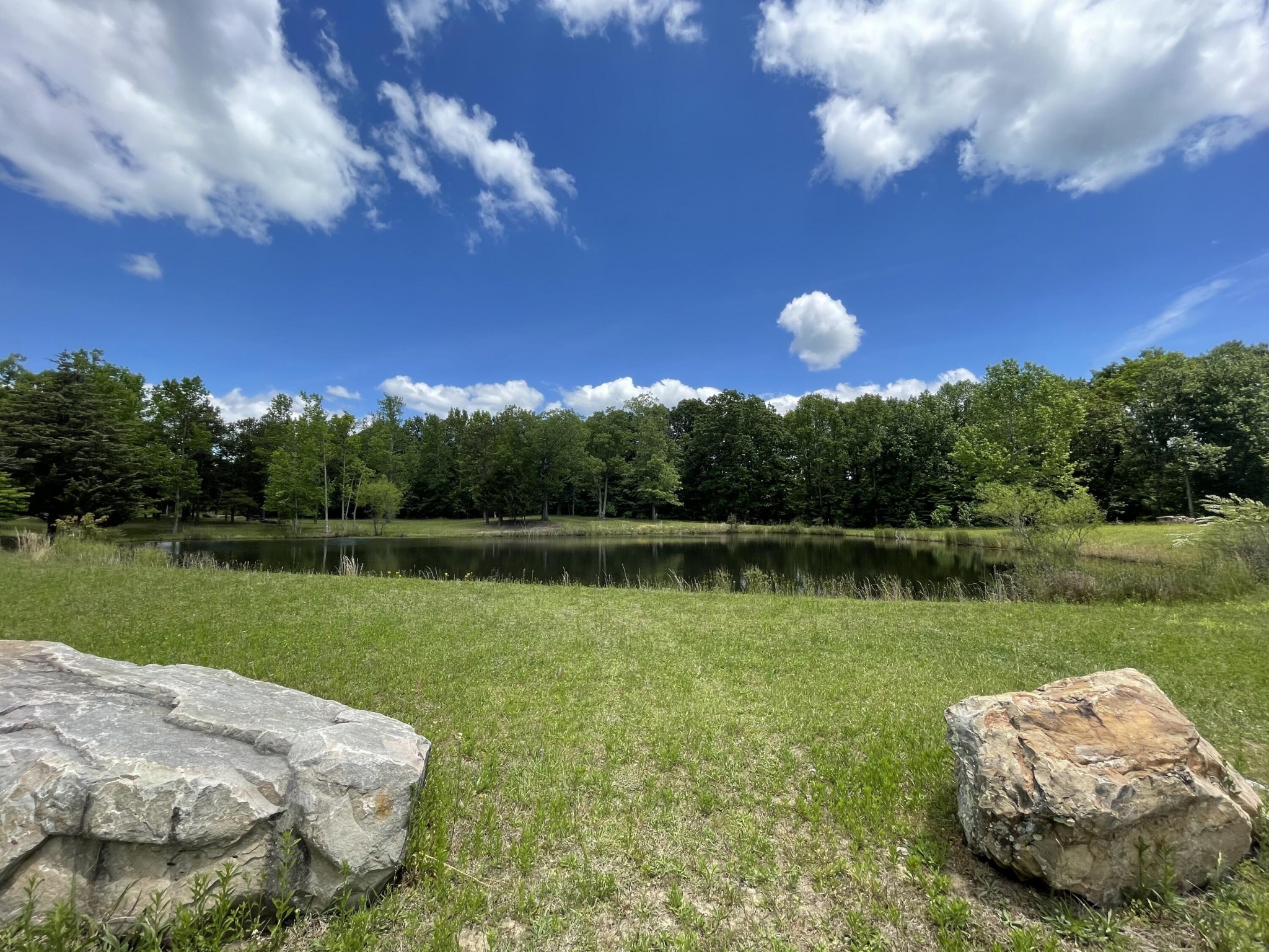 0 Teludachee Trail Guild, TN 37340 - Photo 8 of 12 Gallery Image 8