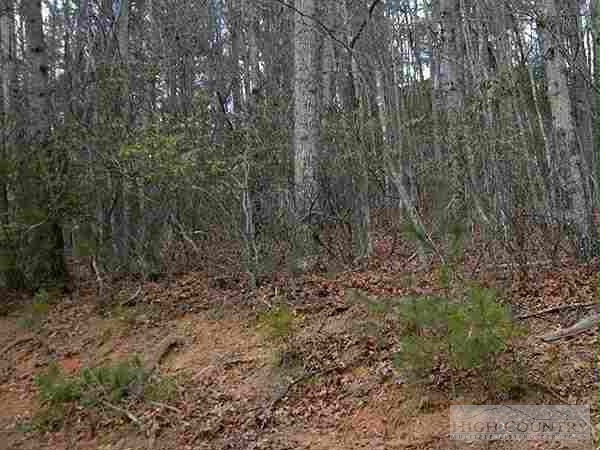 Lot 85 Roaring Ridge Road Deep Gap, NC 28618 - Photo 1 of 1 a view of a forest with trees in the background