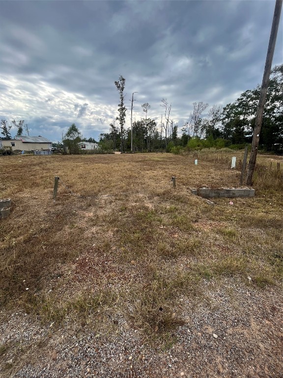 14878 Forest Castle Road Conroe, TX 77306 - Photo 3 of 12 a view of a yard