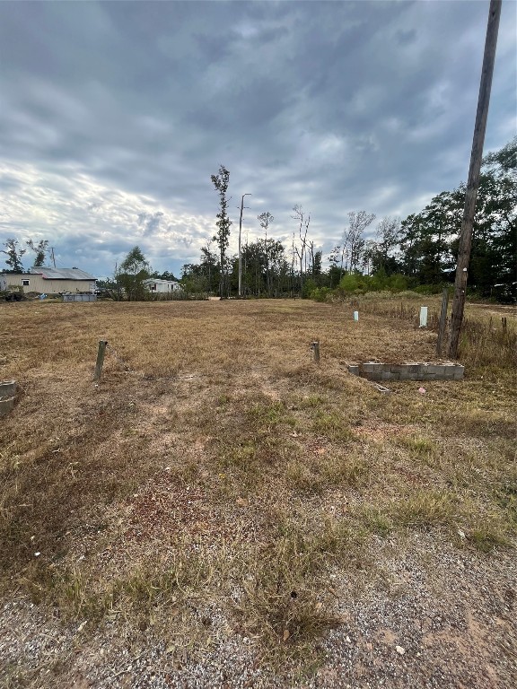 14878 Forest Castle Road Conroe, TX 77306 - Photo 5 of 12 a view of lake