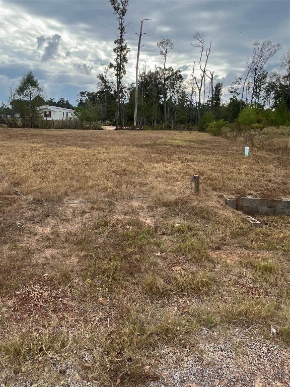 14878 Forest Castle Road Conroe, TX 77306 - Photo 10 of 12 a view of a lake
