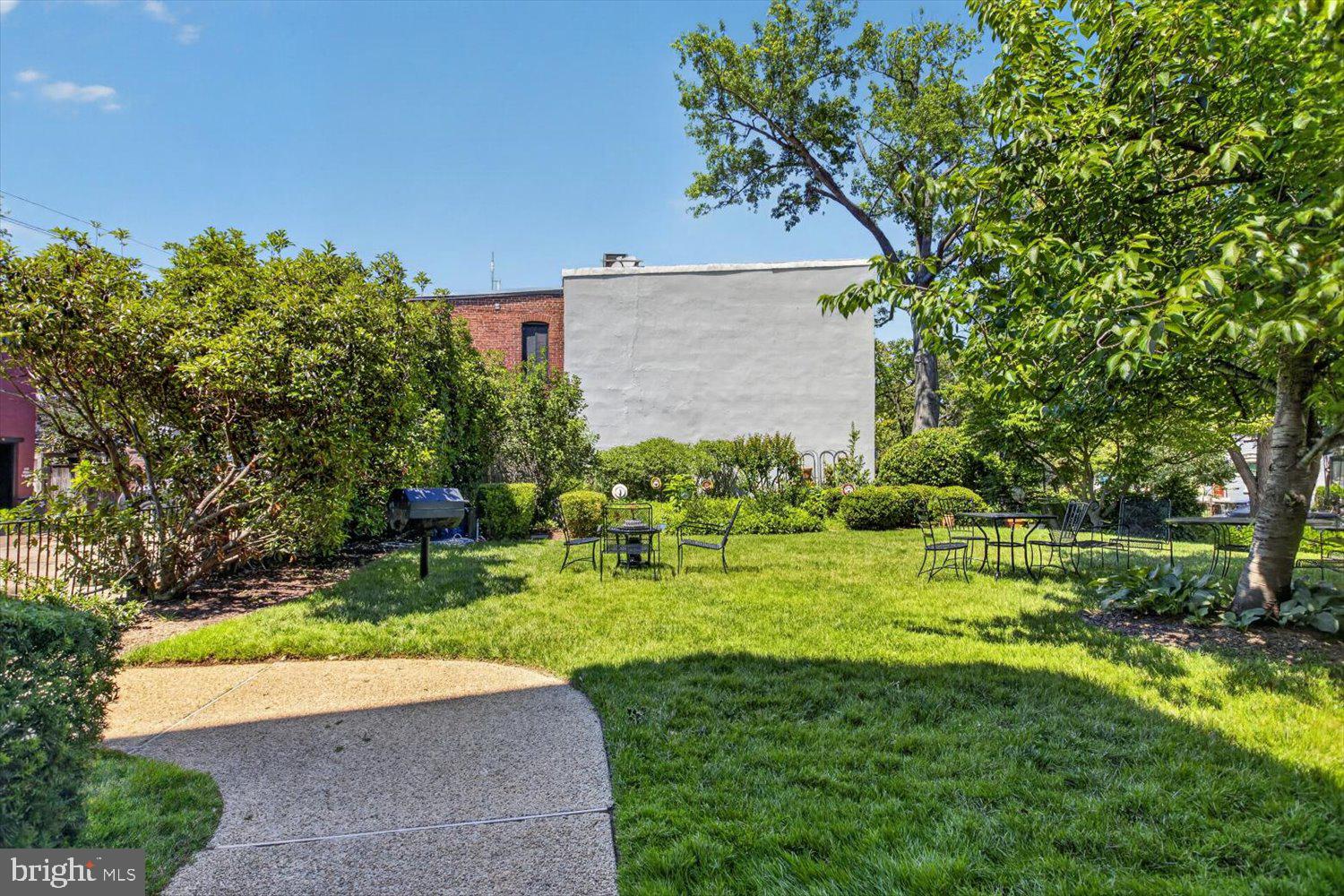 410 5th Street Northeast, Unit 1 Washington, DC 20002 - Photo 33 of 37 Lush green oasis in the city.