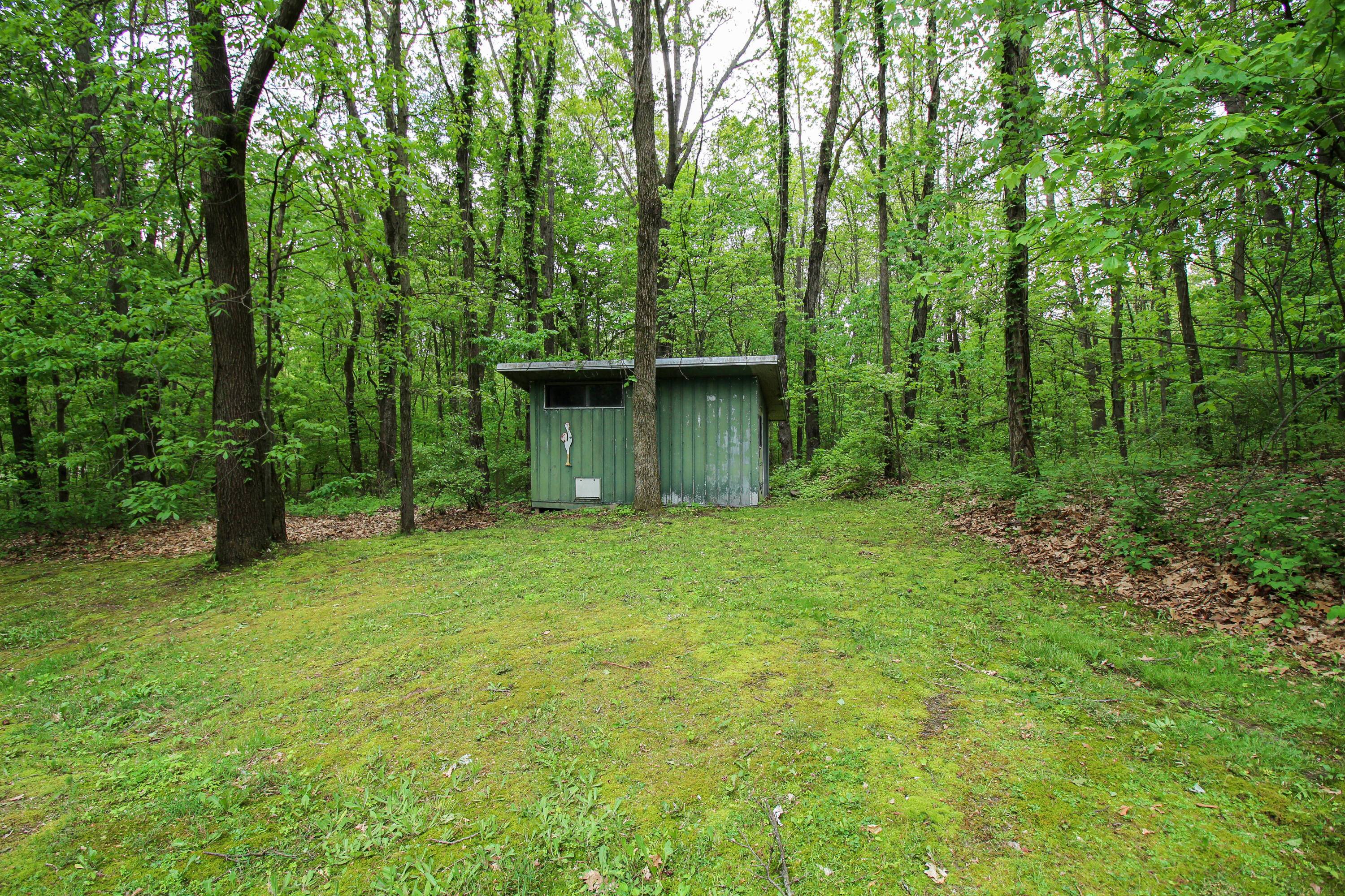 11111 Born Street Three Rivers, MI 49093 - Photo 57 of 65 Born-26