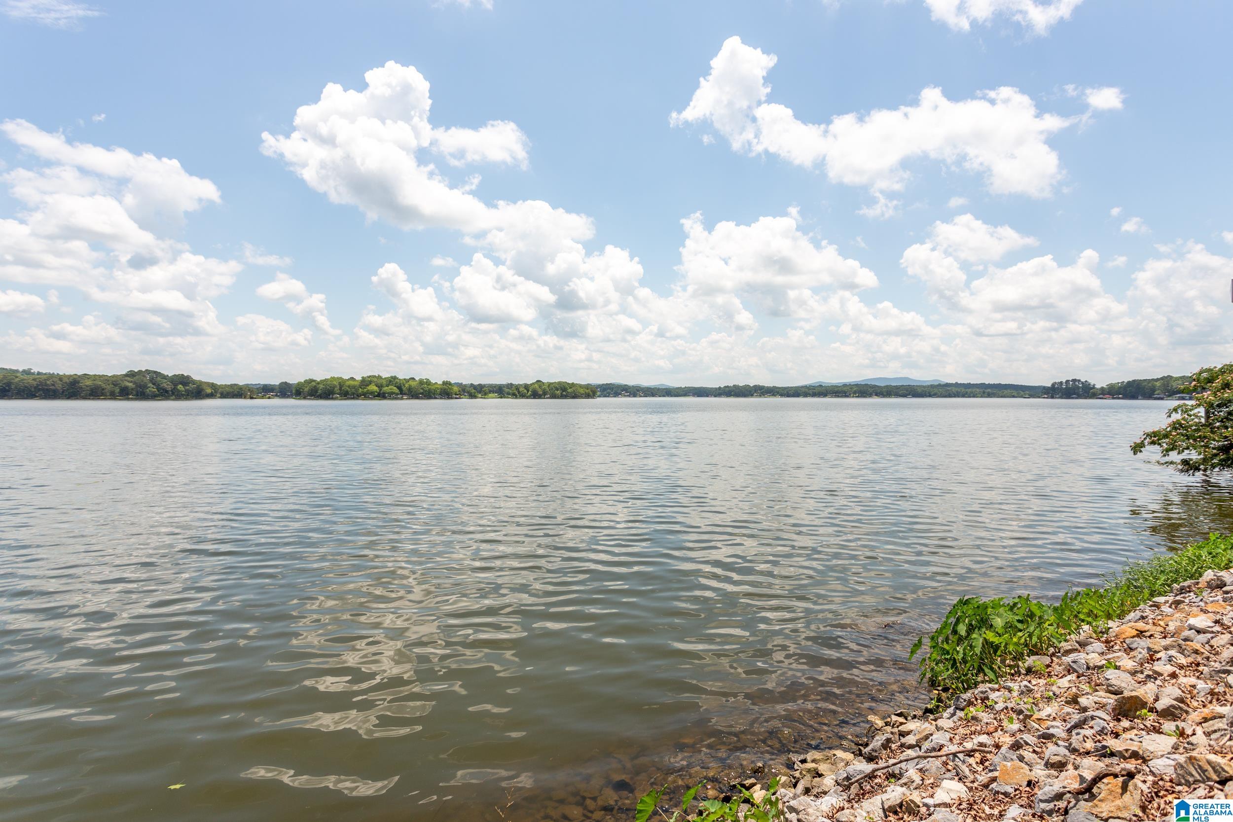 3562 Griffitt Bend Road Talladega, AL 35160 - Photo 43 of 55