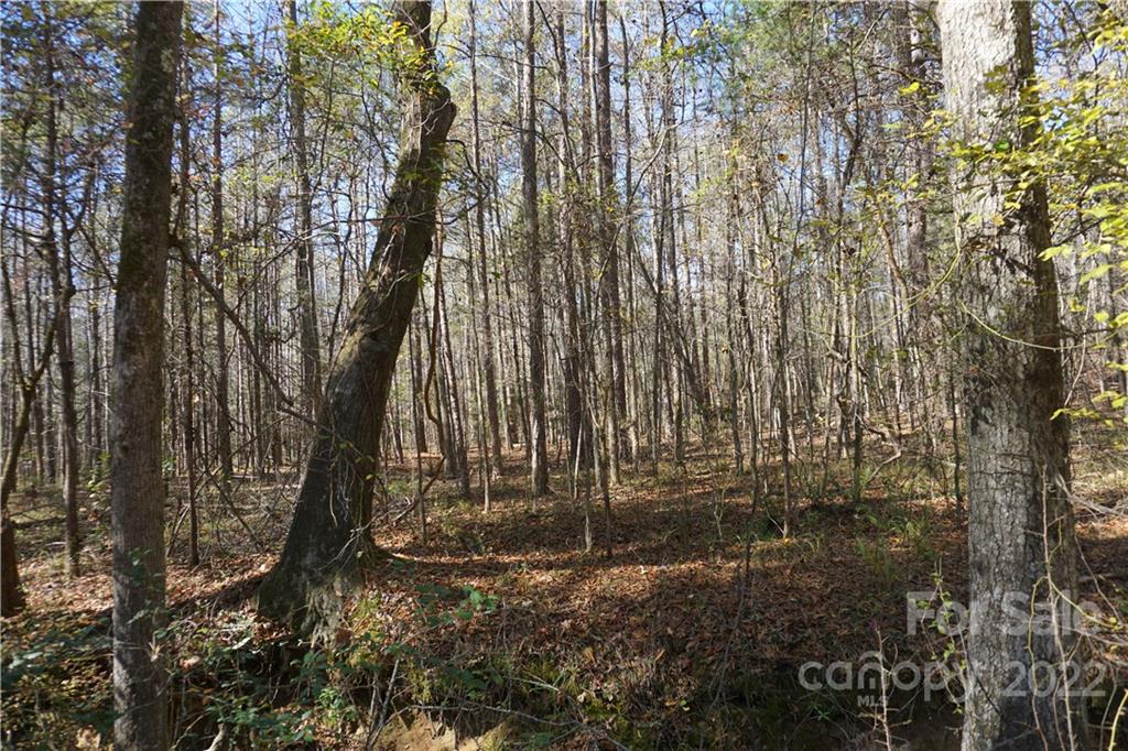 10.64-ac Burree Road, Unit 6 Clover, SC 29710 - Photo 1 of 19 a view of outdoor space with green space