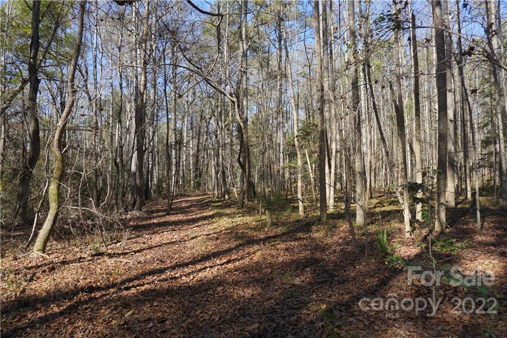 10.64-ac Burree Road, Unit 6 Clover, SC 29710 - Photo 12 of 19 a backyard of a house with lots of green space
