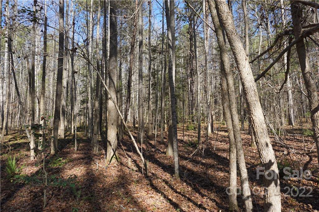 10.64-ac Burree Road, Unit 6 Clover, SC 29710 - Photo 13 of 19 a view of outdoor space with lots of trees