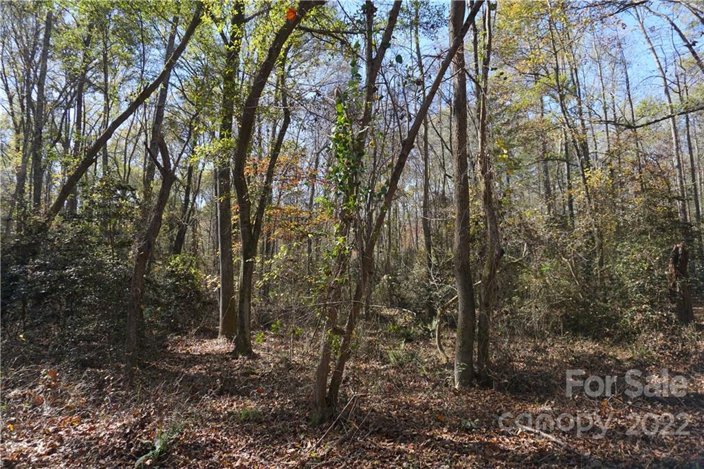10.64-ac Burree Road, Unit 6 Clover, SC 29710 - Photo 14 of 19 a view of a forest