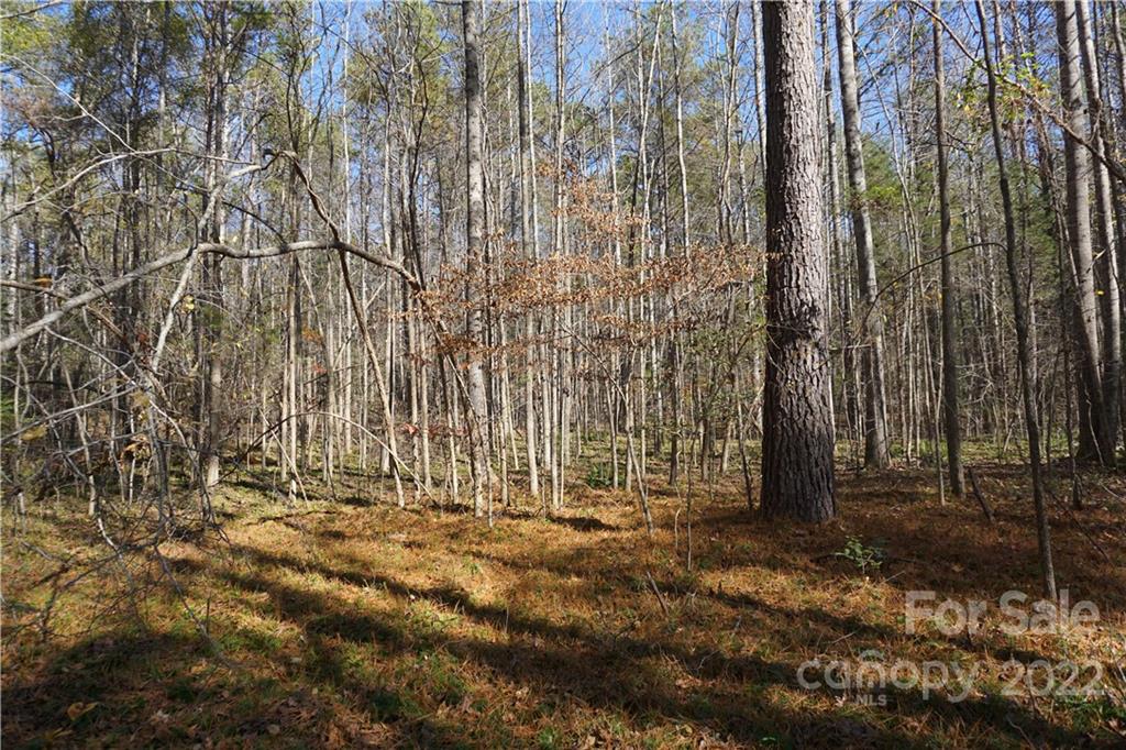 10.64-ac Burree Road, Unit 6 Clover, SC 29710 - Photo 15 of 19 a view of house with yard and trees