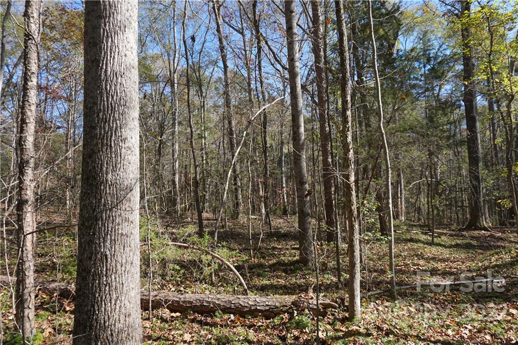 10.64-ac Burree Road, Unit 6 Clover, SC 29710 - Photo 19 of 19 a view of a outdoor space