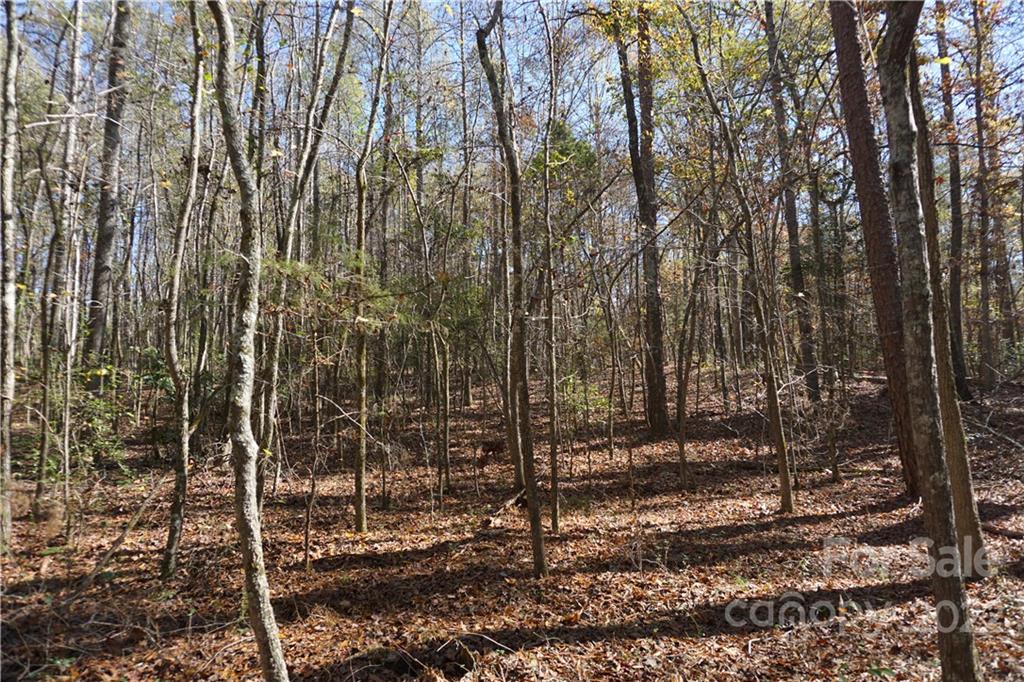 10.64-ac Burree Road, Unit 6 Clover, SC 29710 - Photo 2 of 19 a view of a outdoor space