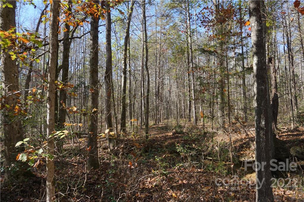 10.64-ac Burree Road, Unit 6 Clover, SC 29710 - Photo 5 of 19 a view of outdoor space