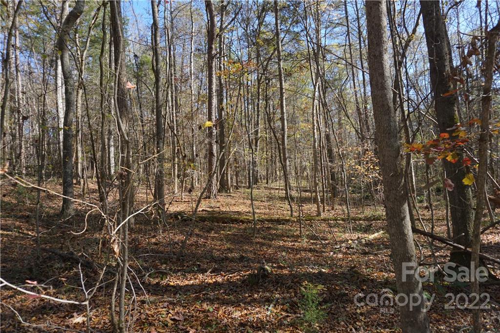 10.64-ac Burree Road, Unit 6 Clover, SC 29710 - Photo 8 of 19