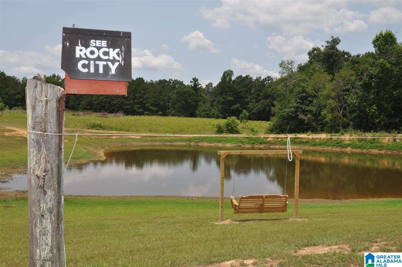 454 Highway 13 Cleveland Al Berry, AL 35546 - Photo 27 of 31
