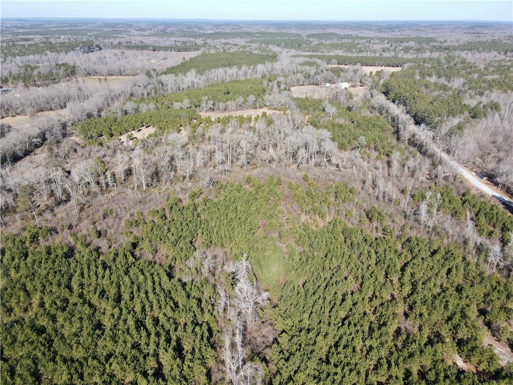 0 Brazell Road Camp Hill, AL 36850 - Photo 19 of 24 Gallery Image 19