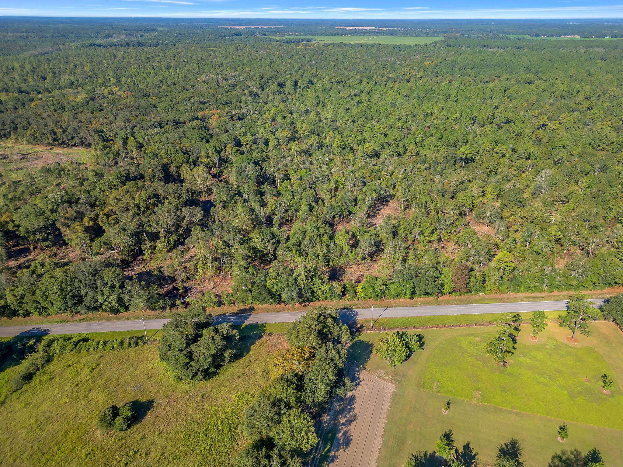 Lot#6 Glory Road Tallahassee, FL 32310 - Photo 2 of 11